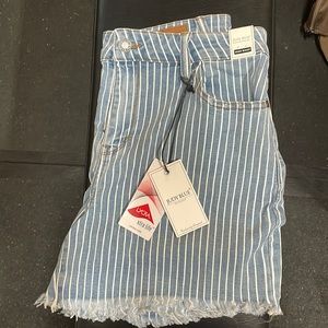 Judy Blue shorts